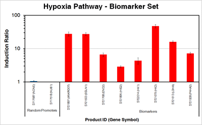 hypoxia_biomarkers