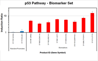 p53_biomarkers